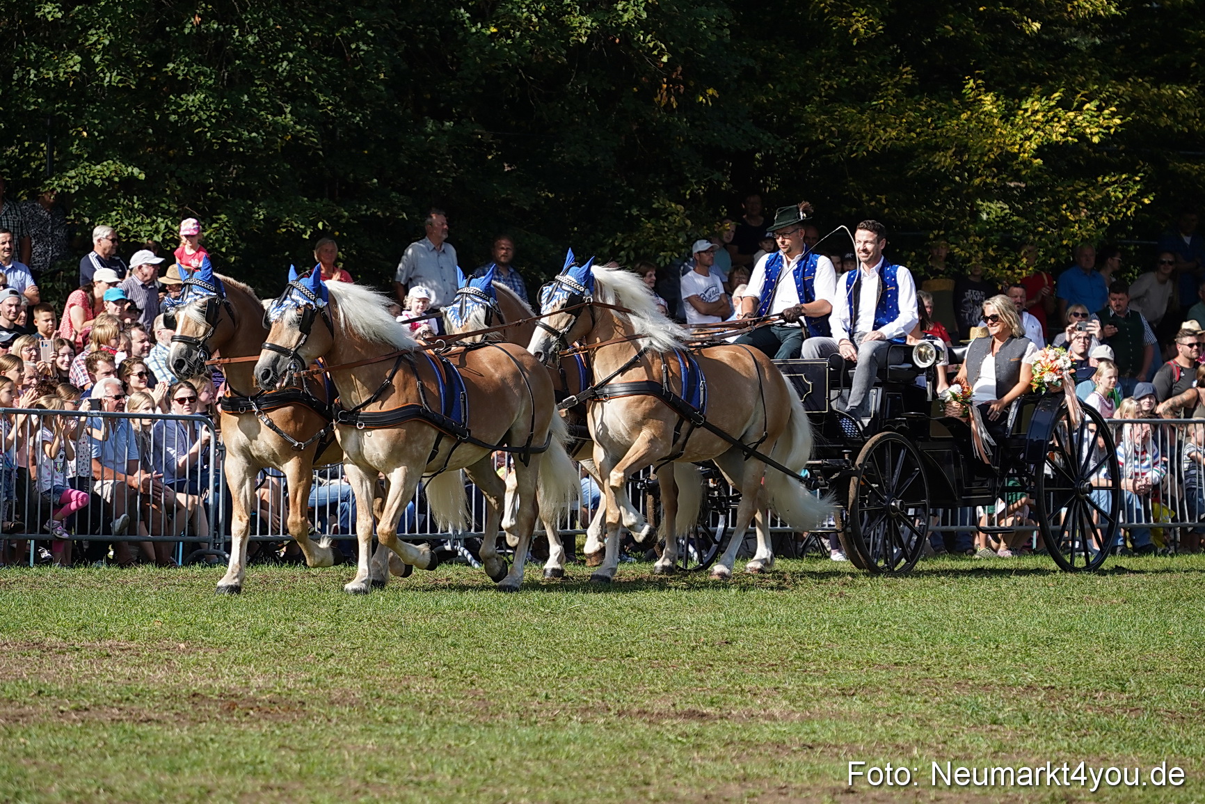 Pferde und Fohlenschau 2022 0103 